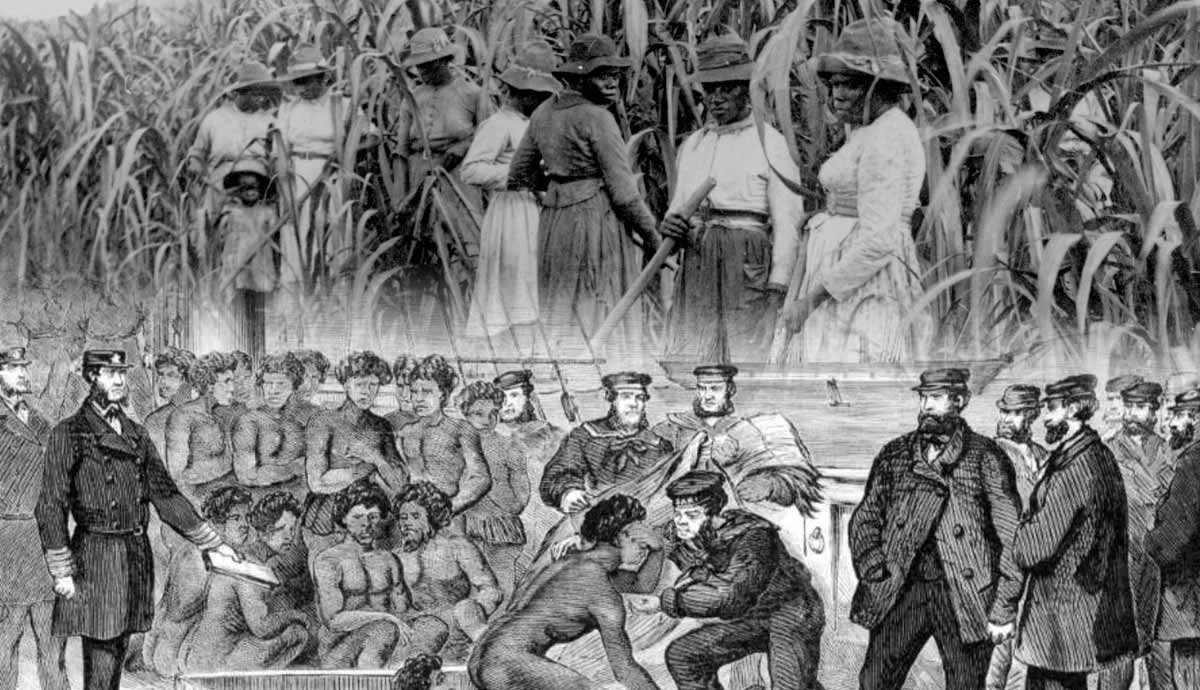 blackbirding australia dark history