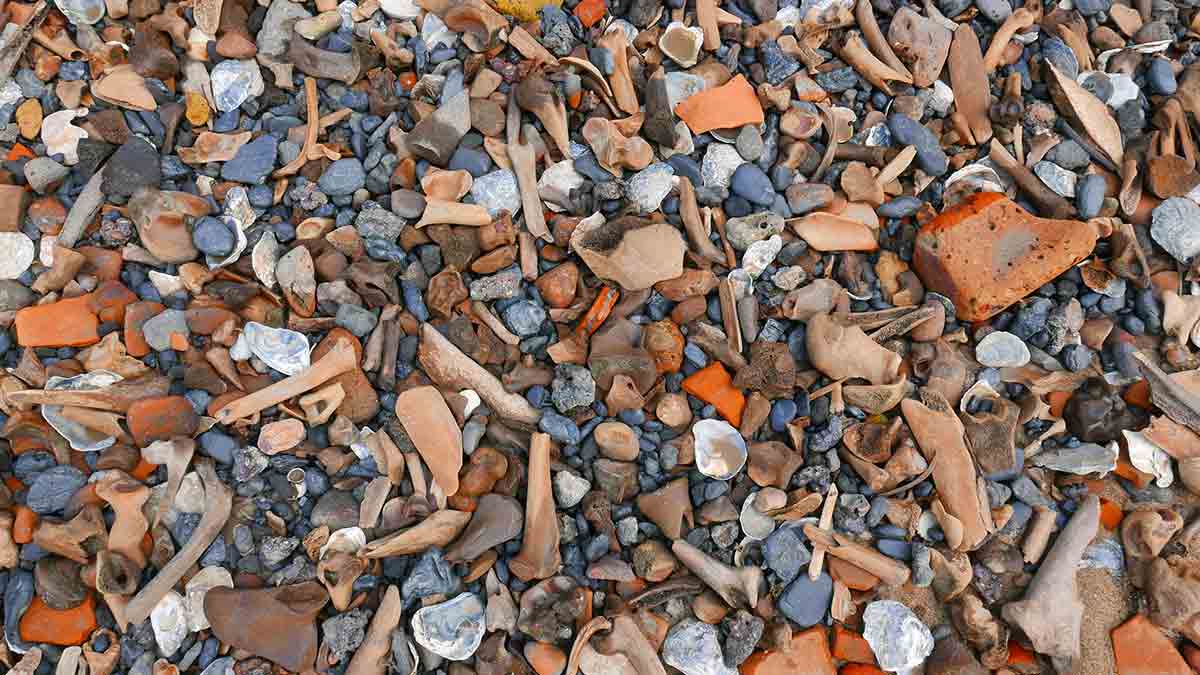 bones and pottery mudlarking finds