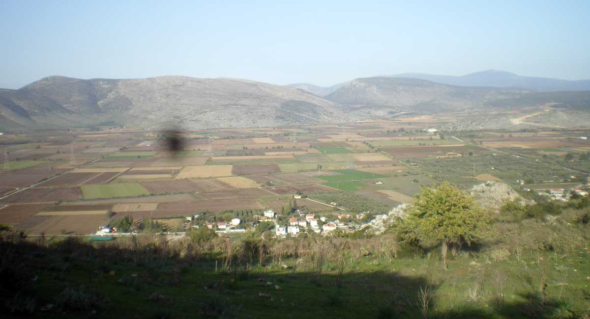 chaeronea view author