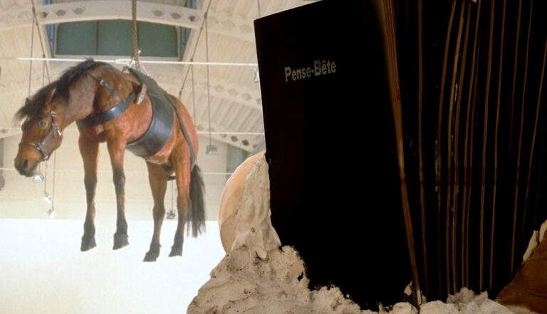 coneptual artists you should know