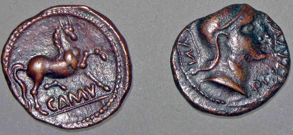 cunobelinus bronze coins
