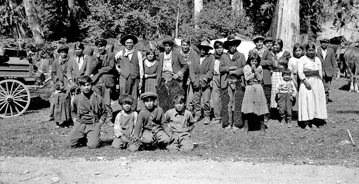 dakelh first nation people standing trees