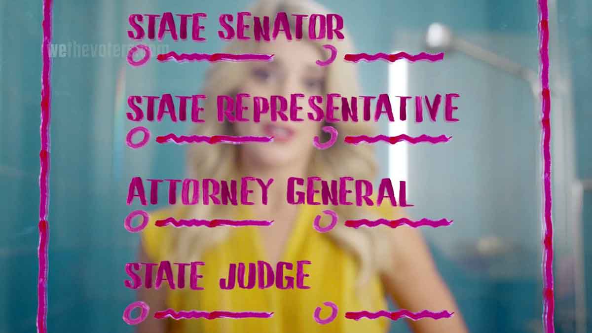 down ballot candidates image