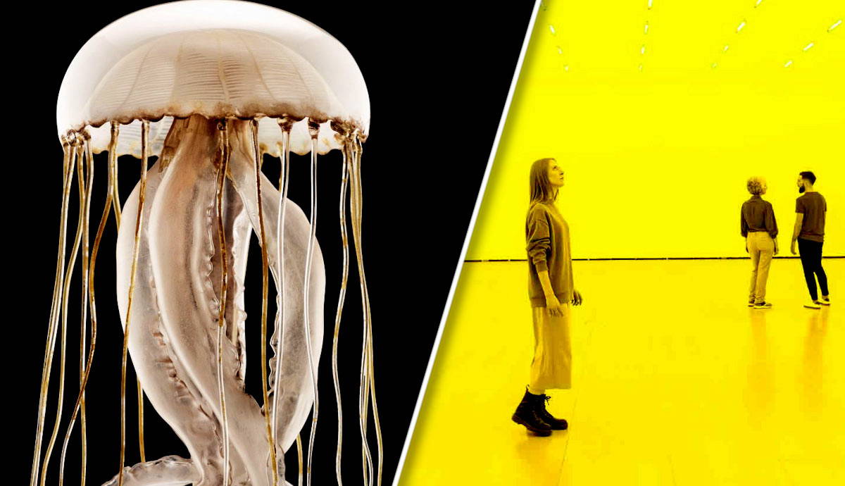 how art science related