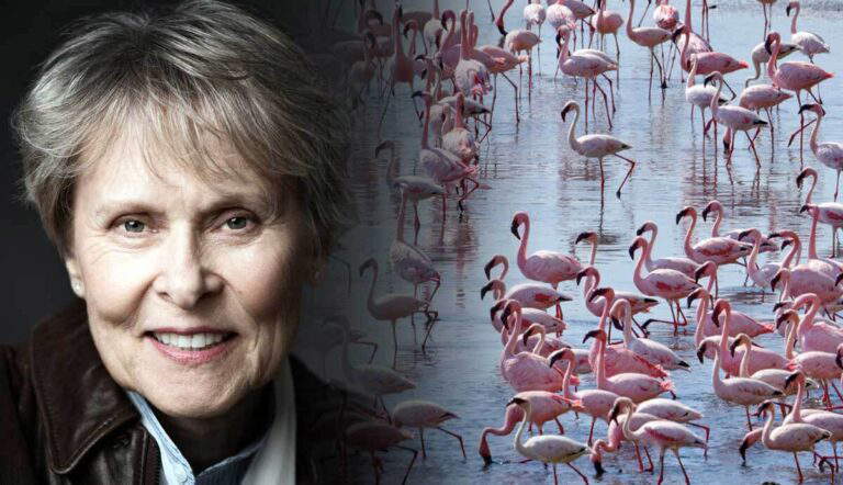 interview roberta bondar intertwining art science
