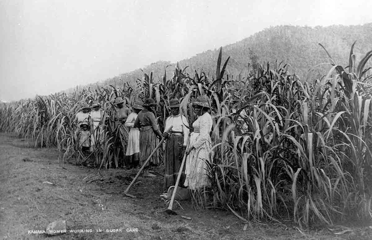 islander labourers standing plantation blackbirding