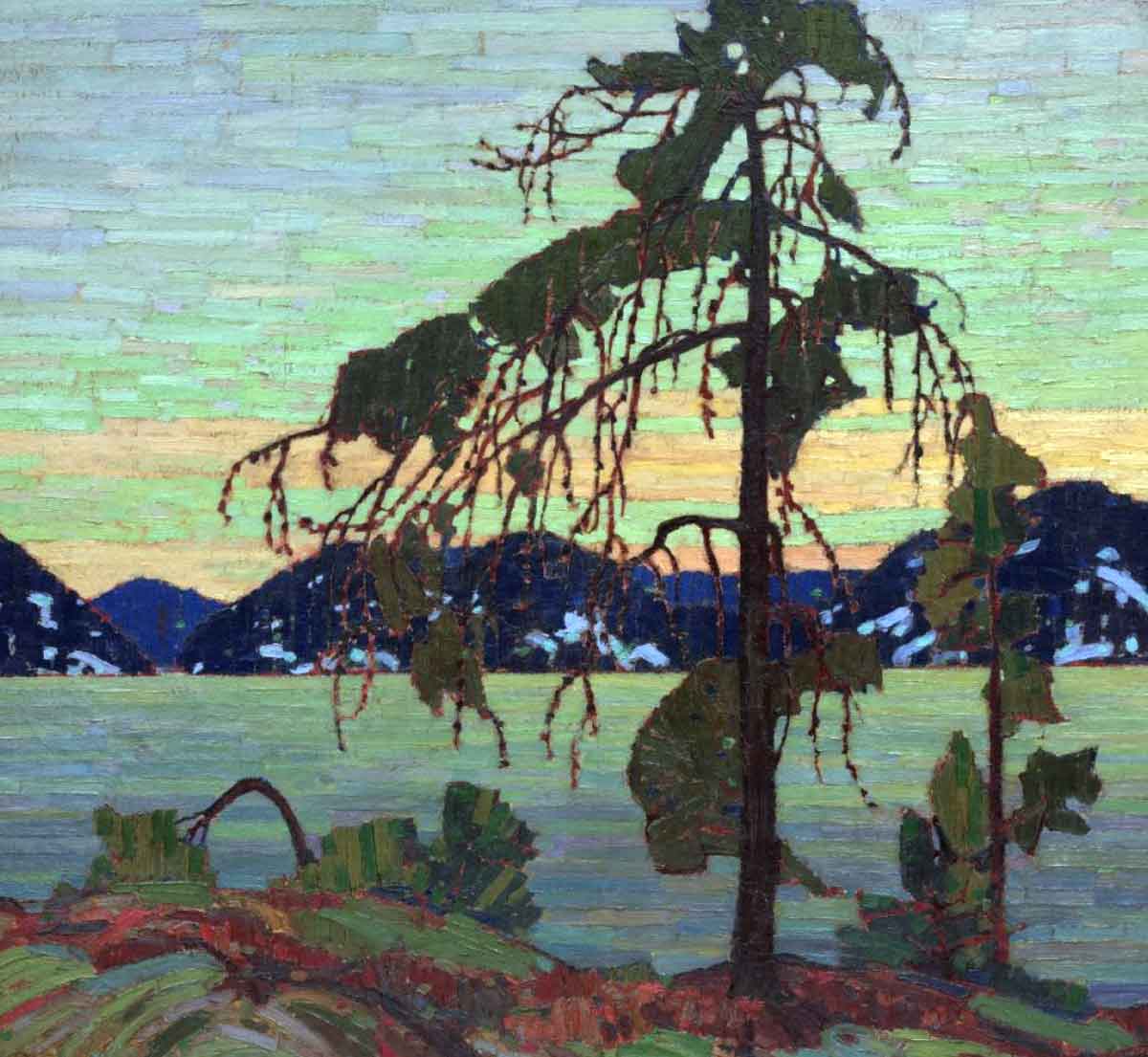 jack pine tom thomson