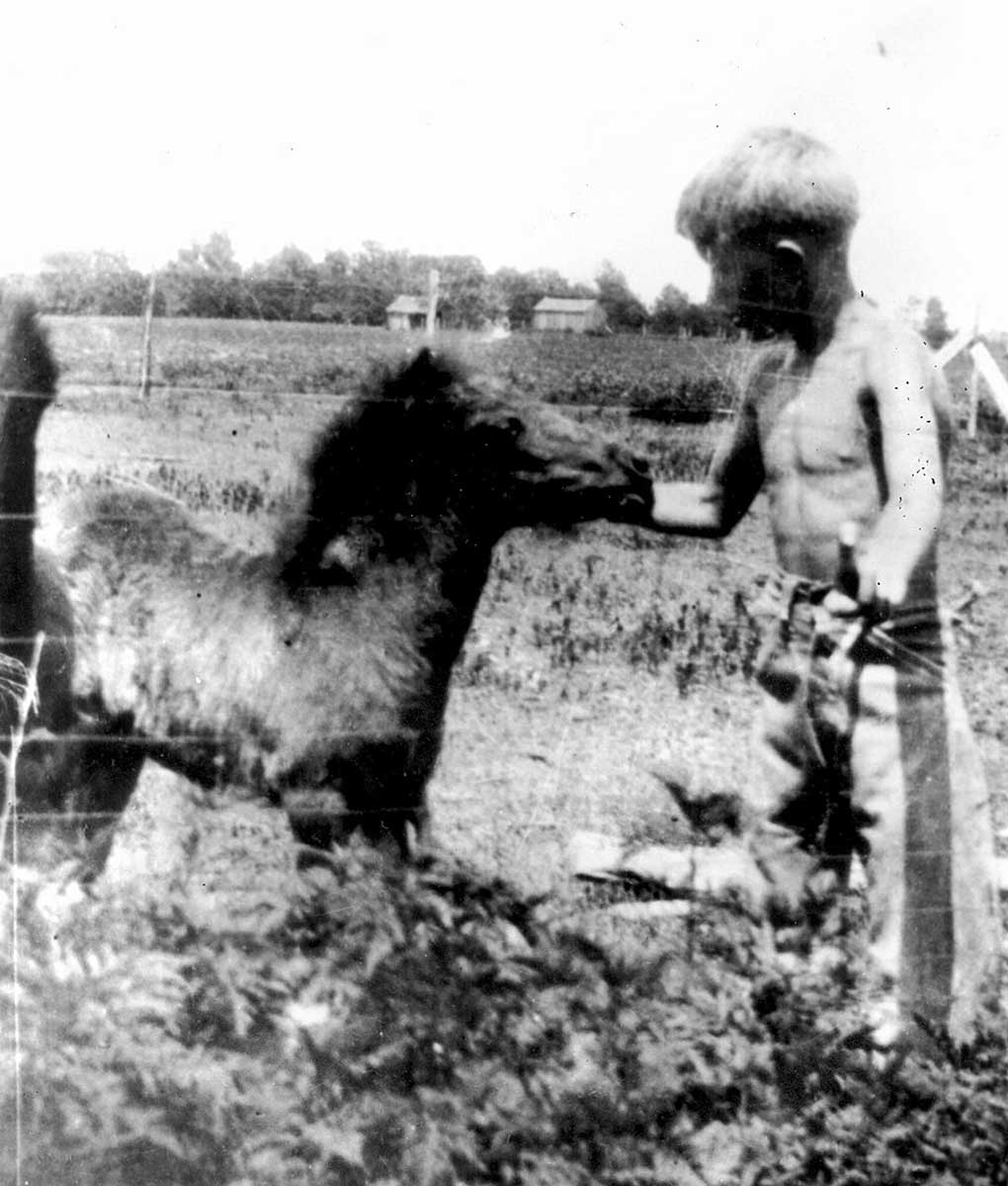 Jimmy carter feeds pony