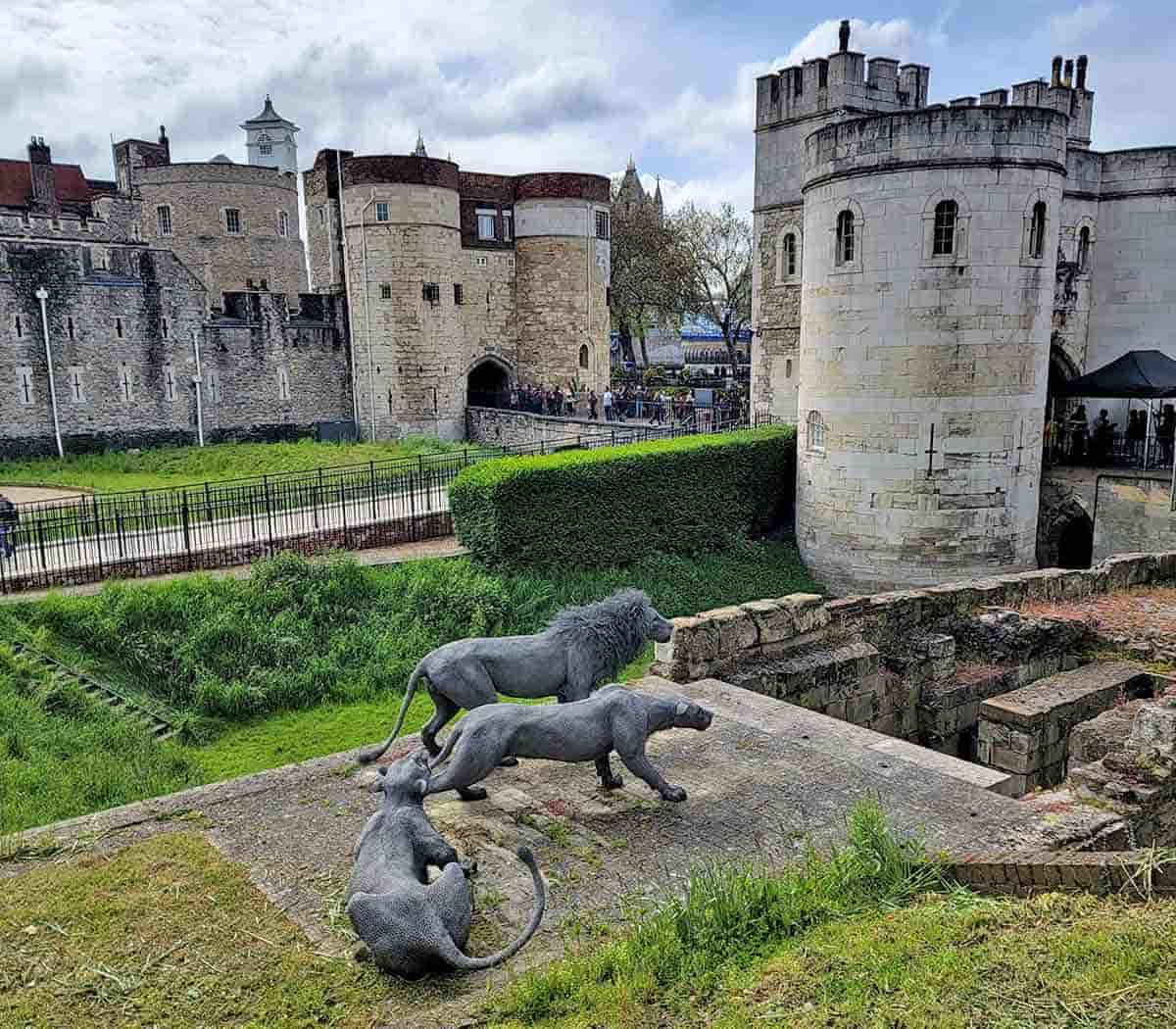 king john royal menagerie tower of london 1216