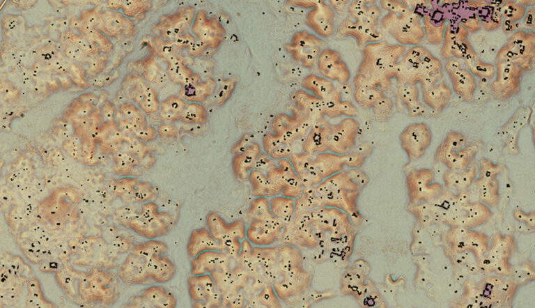 laser-surveys-ancient-maya-city-mexico