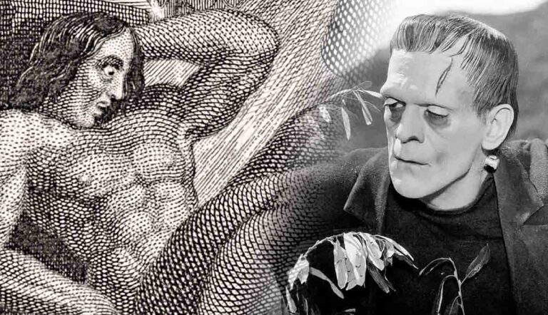 mary shelley frankenstein novel