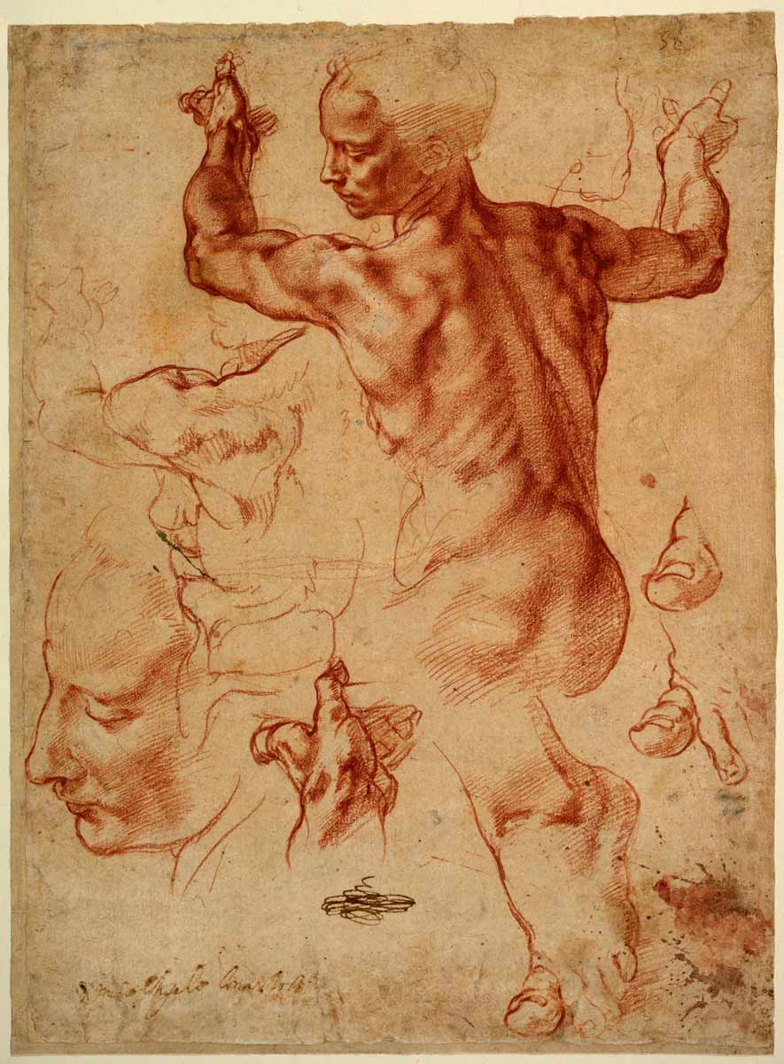 michelangelo sibyl drawing