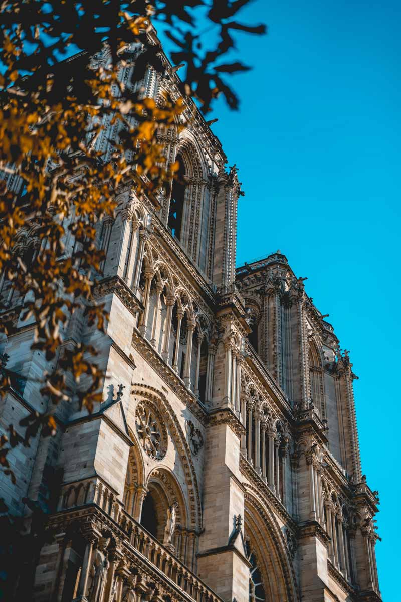 notre dame de paris autumn leaves
