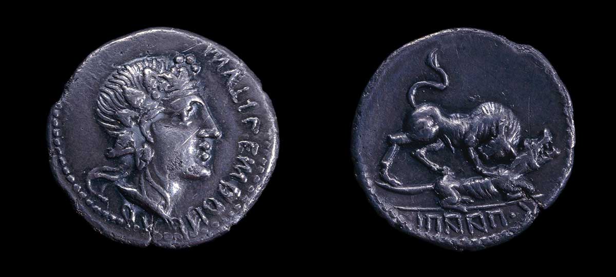 papius mutilius denarius bacchus bull social war