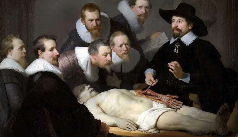 rembrandt artists renaissance anatomy