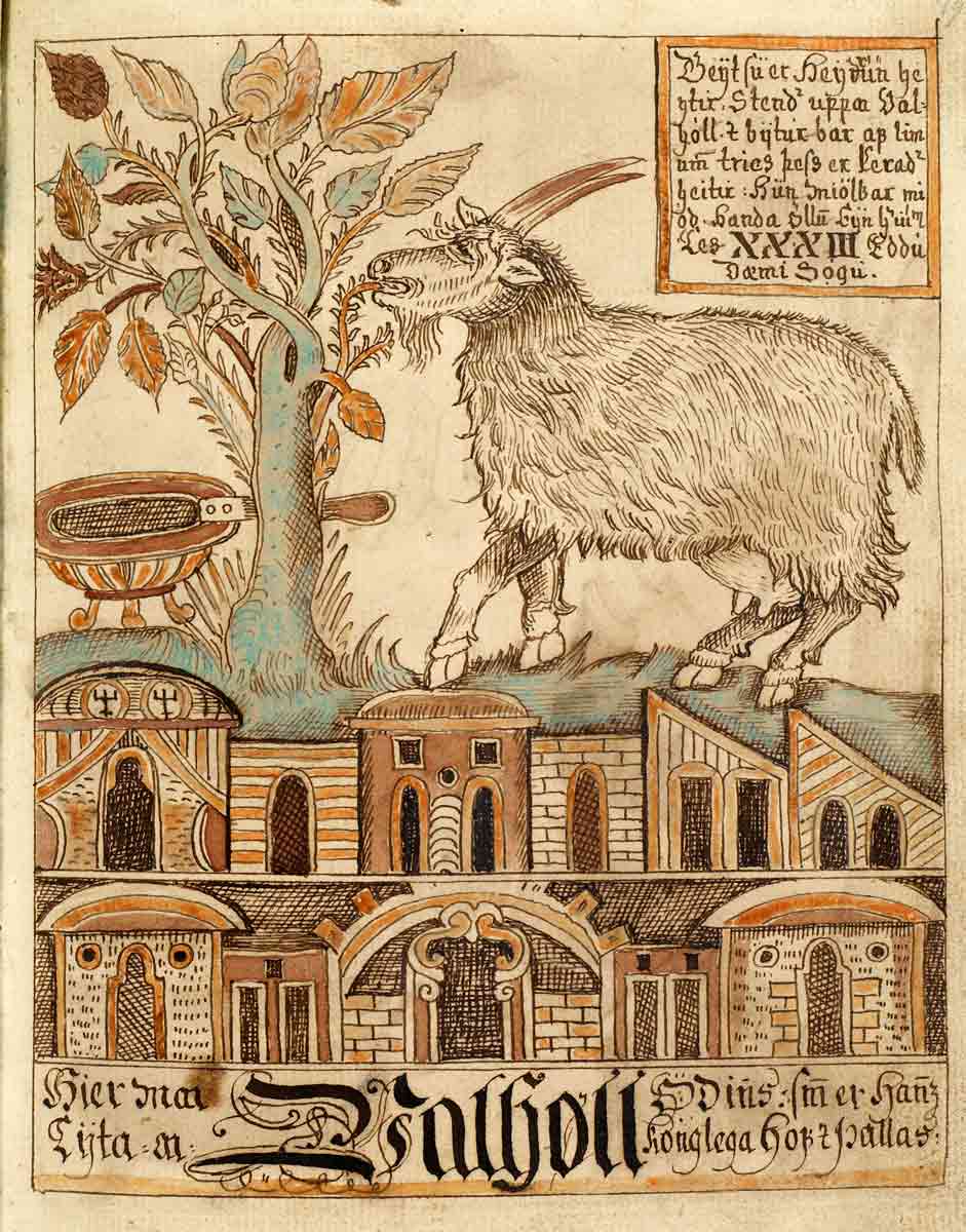 valhalla heidrun nks1867