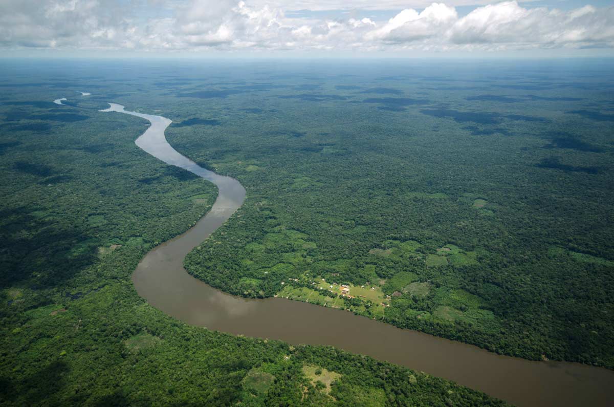 vaupes river amazon rainforest
