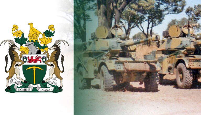 what was rhodesian bush war