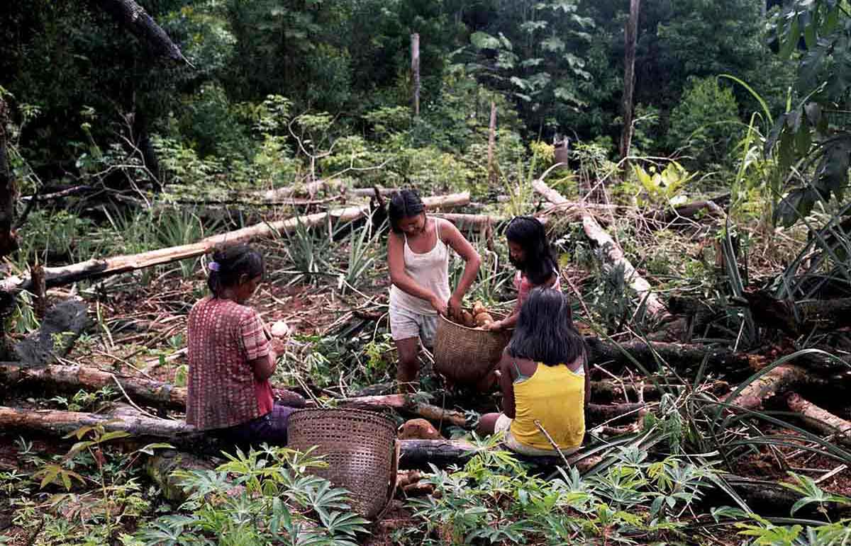 Photo of women in a Chagra, Amazons